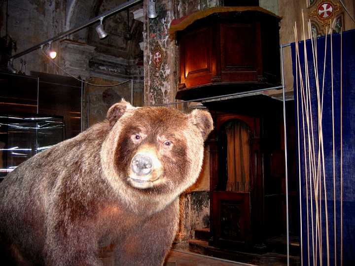 Mostra Orsi e Sciamani 09 011b.jpg